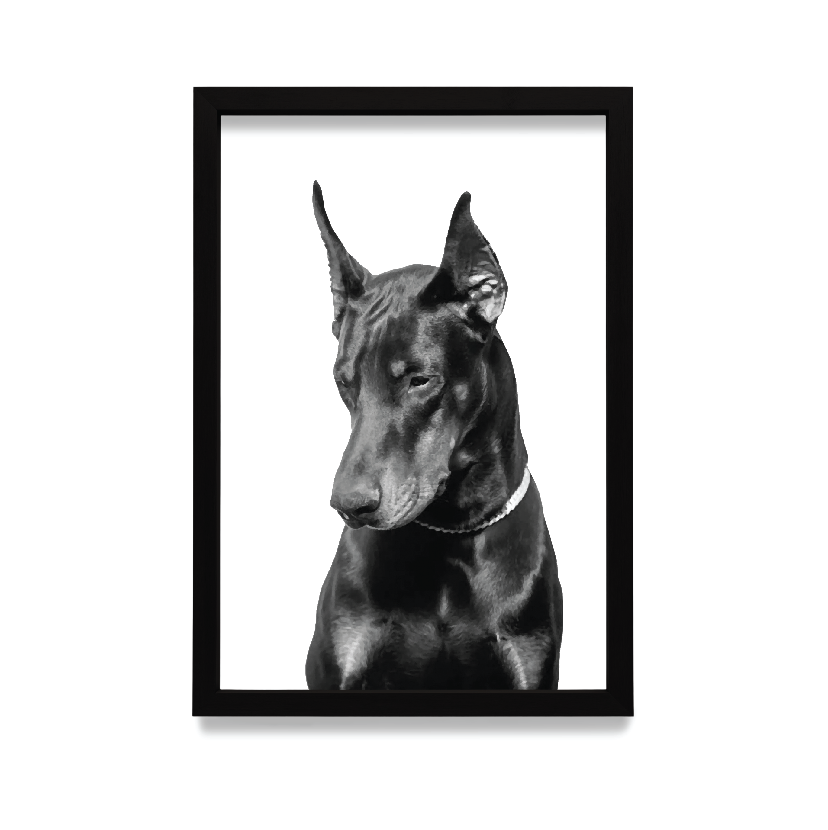 Plakat Doberman w czarnej ramie